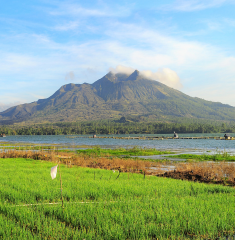 Kintamani